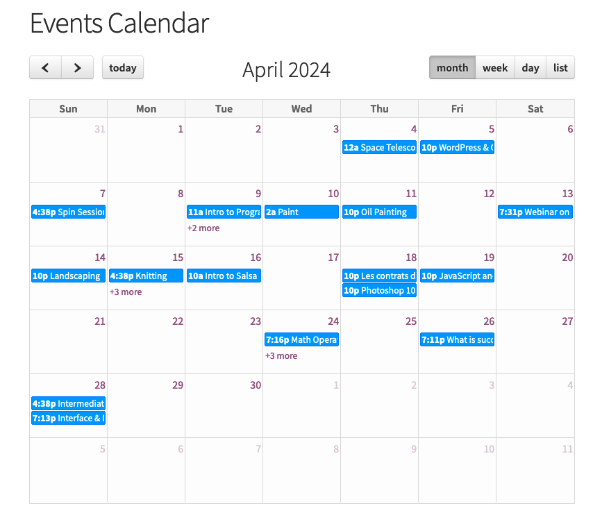 Salesforce Calendar on WordPress