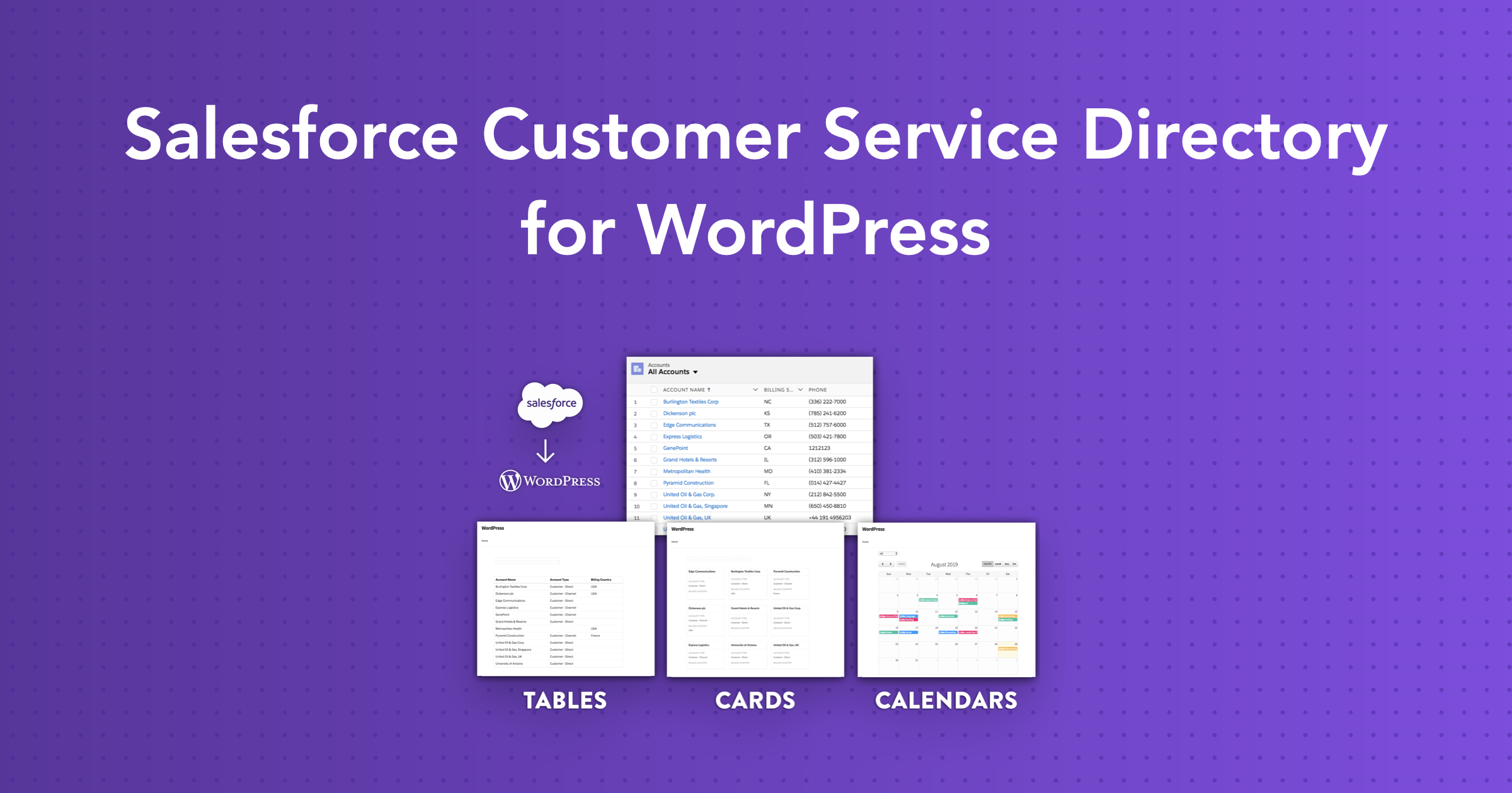 Salesforce Customer Service Directory for WordPress | Sawfish Plugin