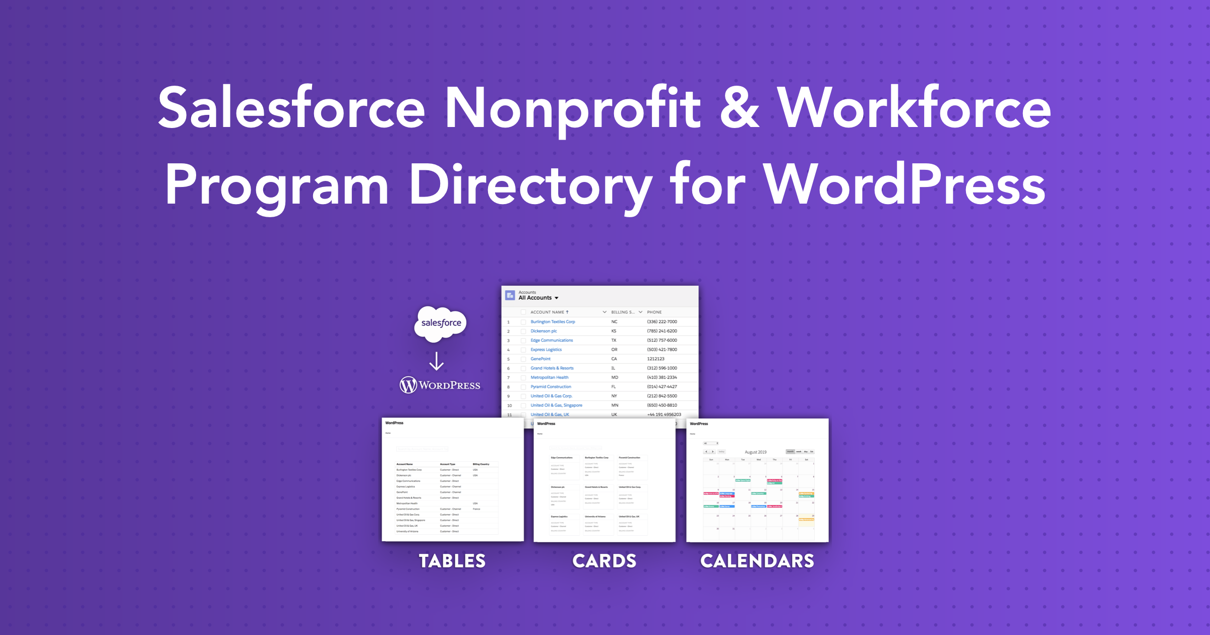 Program Development Directories Examples Salesforce Nonprofit & Workforce Program Directory for WordPress ...