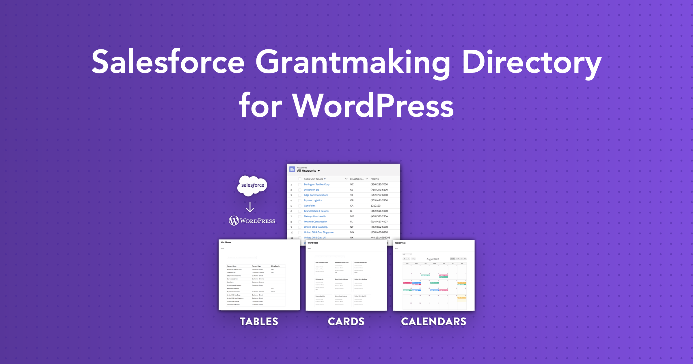 Salesforce Grantmaking Directory for WordPress | Sawfish Plugin